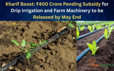 Kharif Boost: ₹400 Crore Pending Subsidy for Drip Irrigation and Farm Machinery to be Released by May End