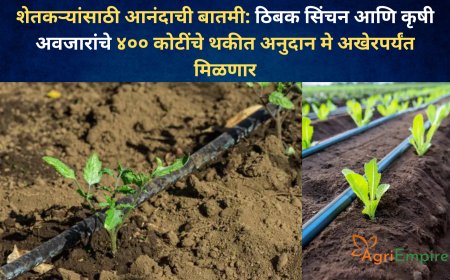 शेतकऱ्यांसाठी आनंदाची बातमी: ठिबक सिंचन आणि कृषी अवजारांचे ४०० कोटींचे थकीत अनुदान मे अखेरपर्यंत मिळणार