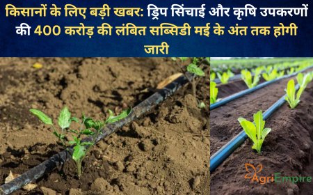 किसानों के लिए बड़ी खबर: ड्रिप सिंचाई और कृषि उपकरणों की 400 करोड़ की लंबित सब्सिडी मई के अंत तक होगी जारी