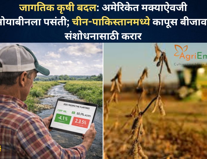जागतिक कृषी बदल: अमेरिकेत मक्याऐवजी सोयाबीनला पसंती; चीन-पाकिस्तानमध्ये कापूस बीजावर संशोधनासाठी करार