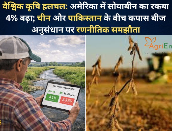 वैश्विक कृषि हलचल: अमेरिका में सोयाबीन का रकबा 4% बढ़ा; चीन और पाकिस्तान के बीच कपास बीज अनुसंधान पर रणनीतिक समझौता