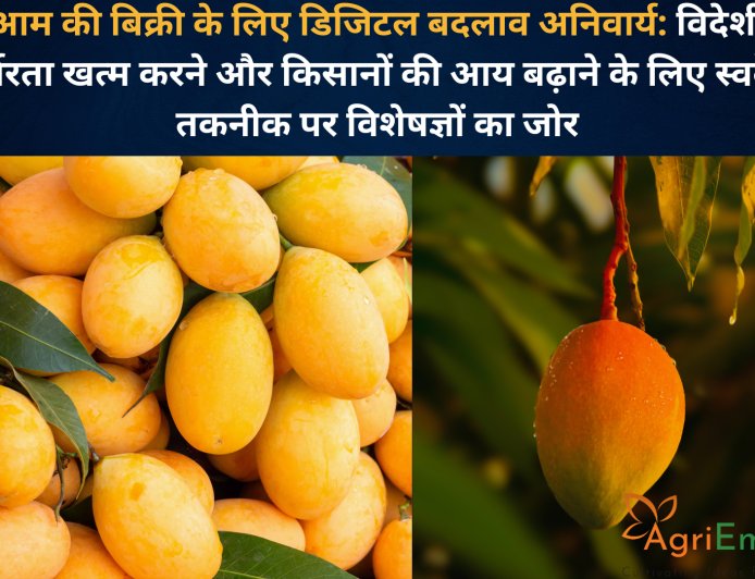 आम की बिक्री के लिए डिजिटल बदलाव अनिवार्य: विदेशी निर्भरता खत्म करने और किसानों की आय बढ़ाने के लिए स्वदेशी तकनीक पर विशेषज्ञों का जोर