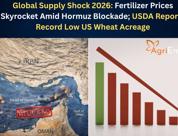 Global Supply Shock 2026: Fertilizer Prices Skyrocket Amid Hormuz Blockade; USDA Reports Record Low US Wheat Acreage