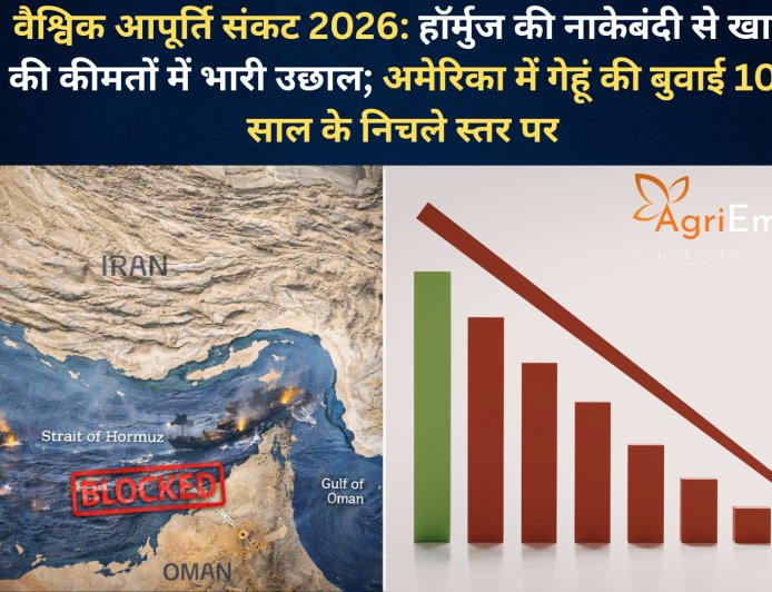 वैश्विक आपूर्ति संकट 2026: हॉर्मुज की नाकेबंदी से खाद की कीमतों में भारी उछाल; अमेरिका में गेहूं की बुवाई 107 साल के निचले स्तर पर