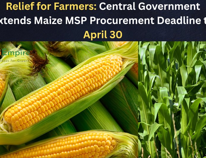 Relief for Farmers: Central Government Extends Maize MSP Procurement Deadline to April 30