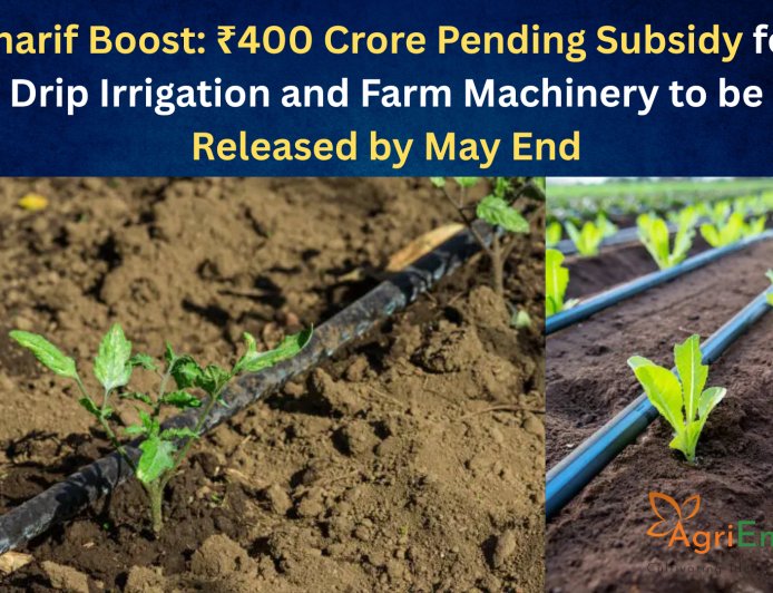 Kharif Boost: ₹400 Crore Pending Subsidy for Drip Irrigation and Farm Machinery to be Released by May End