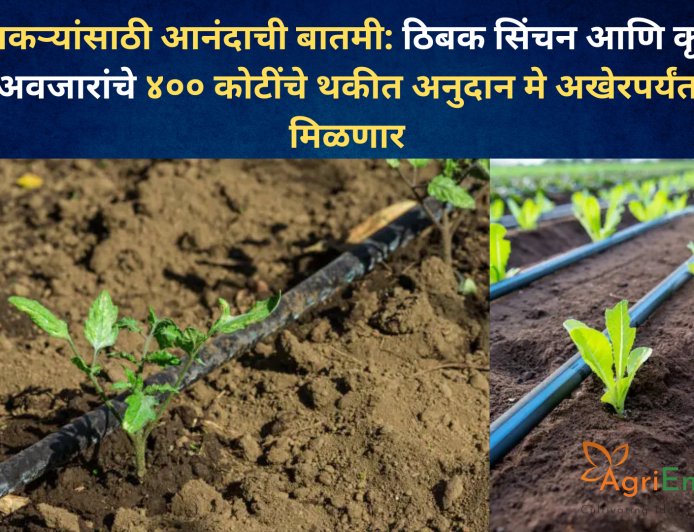 शेतकऱ्यांसाठी आनंदाची बातमी: ठिबक सिंचन आणि कृषी अवजारांचे ४०० कोटींचे थकीत अनुदान मे अखेरपर्यंत मिळणार