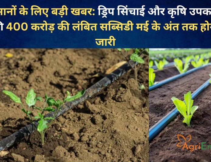 किसानों के लिए बड़ी खबर: ड्रिप सिंचाई और कृषि उपकरणों की 400 करोड़ की लंबित सब्सिडी मई के अंत तक होगी जारी