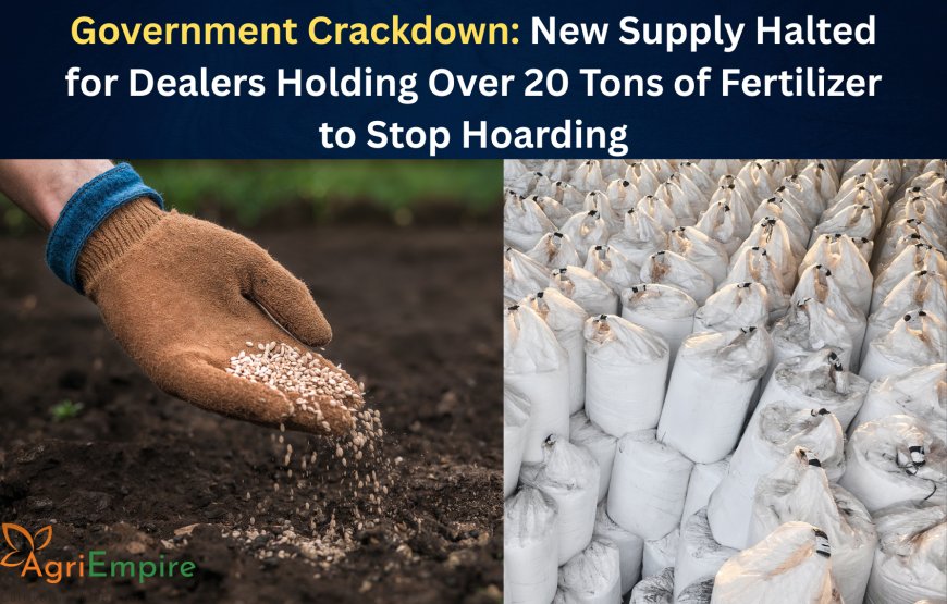 Government Crackdown: New Supply Halted for Dealers Holding Over 20 Tons of Fertilizer to Stop Hoarding
