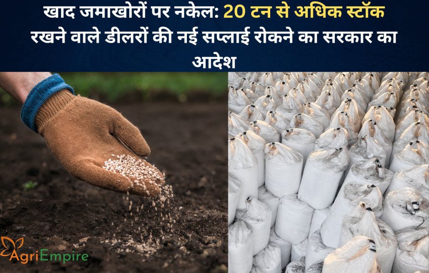 खाद जमाखोरों पर नकेल: 20 टन से अधिक स्टॉक रखने वाले डीलरों की नई सप्लाई रोकने का सरकार का आदेश