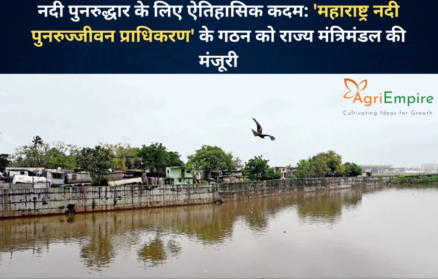 नदी पुनरुद्धार के लिए ऐतिहासिक कदम: 'महाराष्ट्र नदी पुनरुज्जीवन प्राधिकरण' के गठन को राज्य मंत्रिमंडल की मंजूरी
