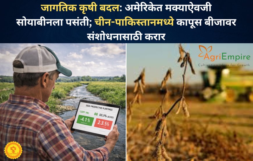जागतिक कृषी बदल: अमेरिकेत मक्याऐवजी सोयाबीनला पसंती; चीन-पाकिस्तानमध्ये कापूस बीजावर संशोधनासाठी करार