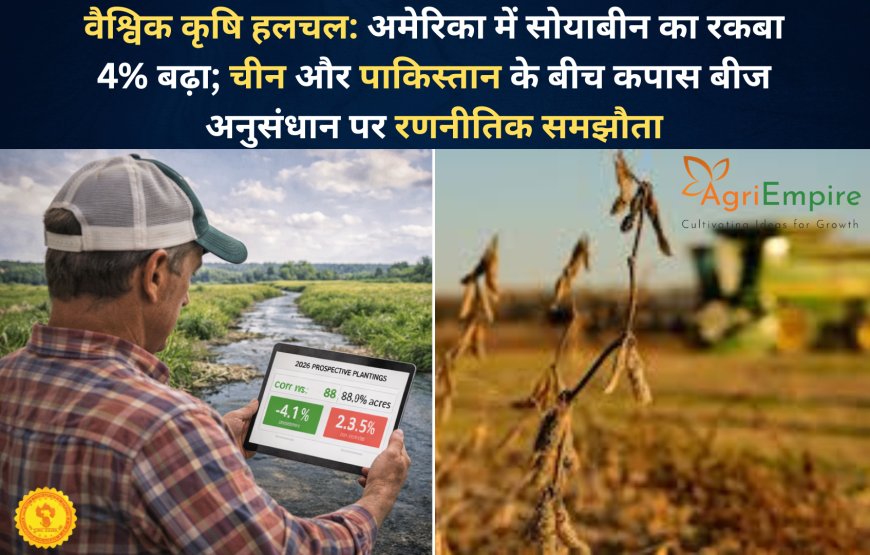 वैश्विक कृषि हलचल: अमेरिका में सोयाबीन का रकबा 4% बढ़ा; चीन और पाकिस्तान के बीच कपास बीज अनुसंधान पर रणनीतिक समझौता