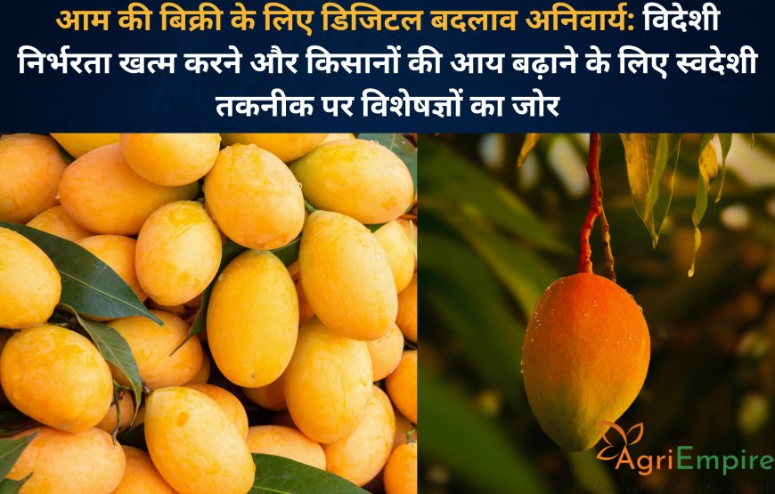 आम की बिक्री के लिए डिजिटल बदलाव अनिवार्य: विदेशी निर्भरता खत्म करने और किसानों की आय बढ़ाने के लिए स्वदेशी तकनीक पर विशेषज्ञों का जोर