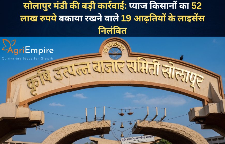 सोलापुर मंडी की बड़ी कार्रवाई: प्याज किसानों का 52 लाख रुपये बकाया रखने वाले 19 आढ़तियों के लाइसेंस निलंबित