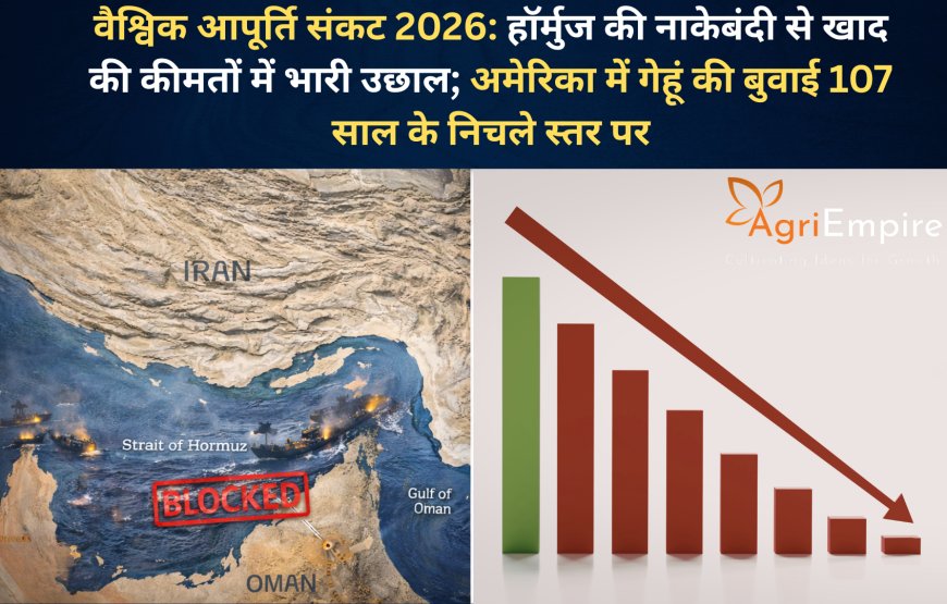 वैश्विक आपूर्ति संकट 2026: हॉर्मुज की नाकेबंदी से खाद की कीमतों में भारी उछाल; अमेरिका में गेहूं की बुवाई 107 साल के निचले स्तर पर