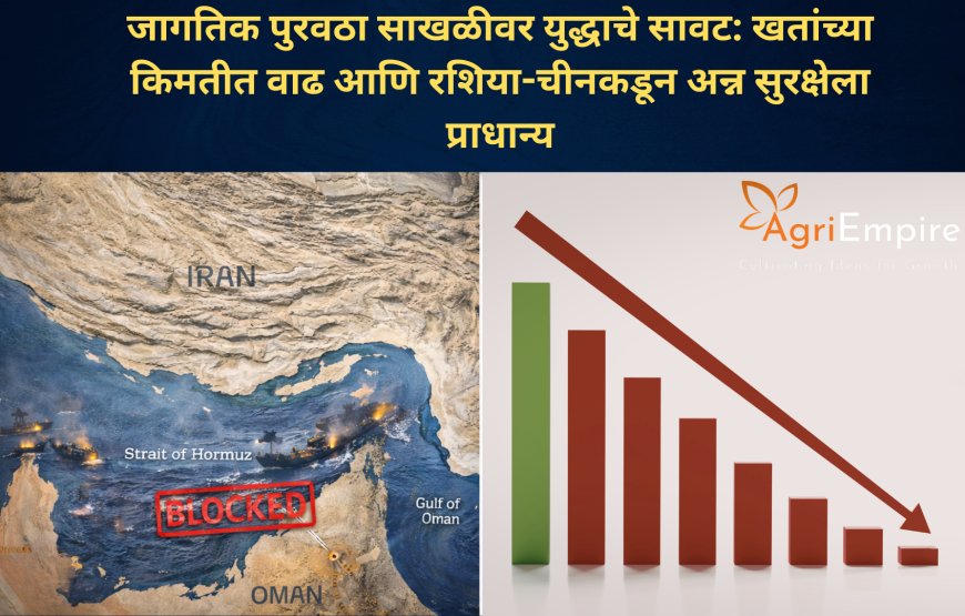 जागतिक पुरवठा साखळीवर युद्धाचे सावट: खतांच्या किमतीत वाढ आणि रशिया-चीनकडून अन्न सुरक्षेला प्राधान्य
