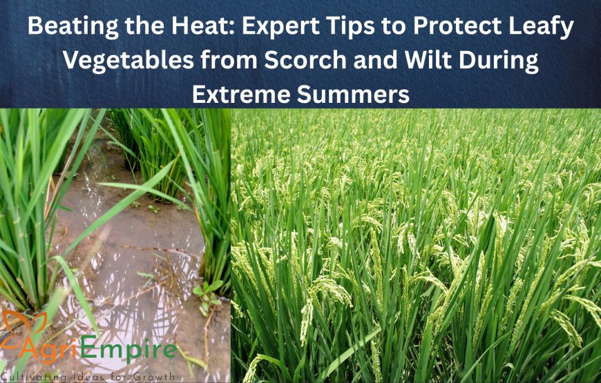 Beating the Heat: Expert Tips to Protect Leafy Vegetables from Scorch and Wilt During Extreme Summers