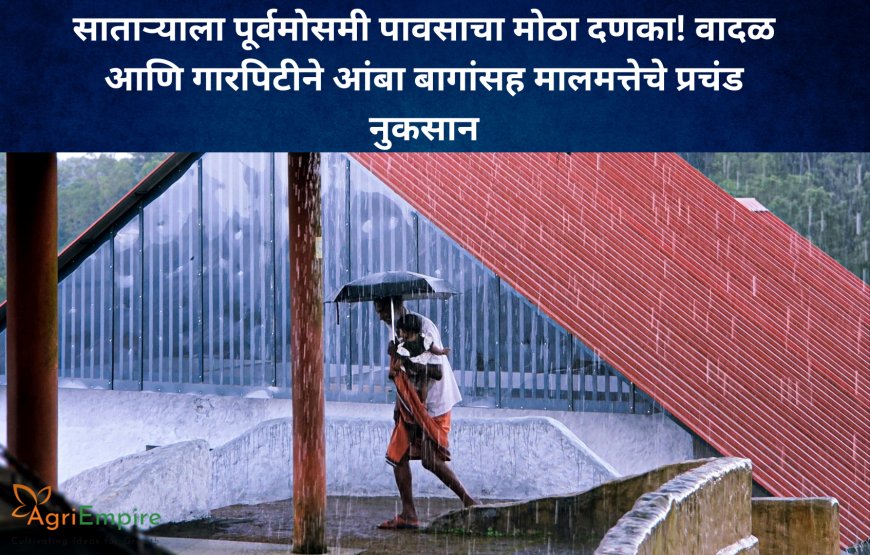 साताऱ्याला पूर्वमोसमी पावसाचा मोठा दणका! वादळ आणि गारपिटीने आंबा बागांसह मालमत्तेचे प्रचंड नुकसान