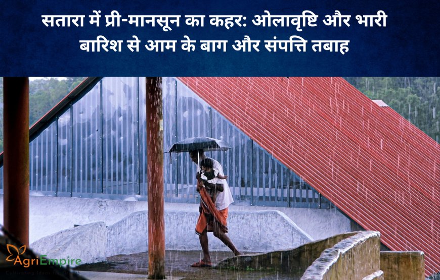 सतारा में प्री-मानसून का कहर: ओलावृष्टि और भारी बारिश से आम के बाग और संपत्ति तबाह