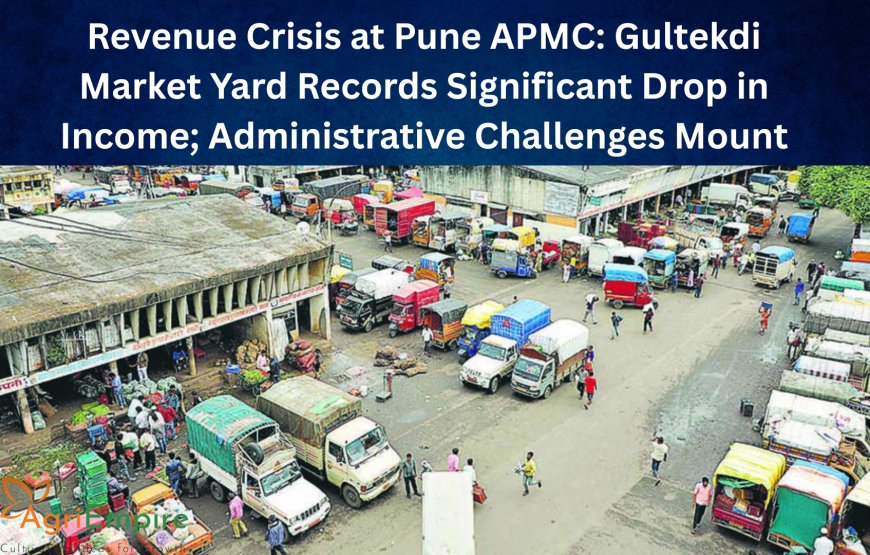 Revenue Crisis at Pune APMC: Gultekdi Market Yard Records Significant Drop in Income; Administrative Challenges Mount