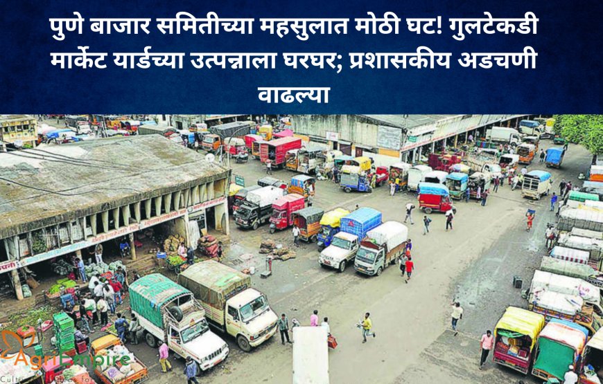 पुणे बाजार समितीच्या महसुलात मोठी घट! गुलटेकडी मार्केट यार्डच्या उत्पन्नाला घरघर; प्रशासकीय अडचणी वाढल्या