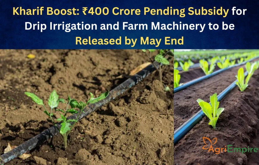 Kharif Boost: ₹400 Crore Pending Subsidy for Drip Irrigation and Farm Machinery to be Released by May End