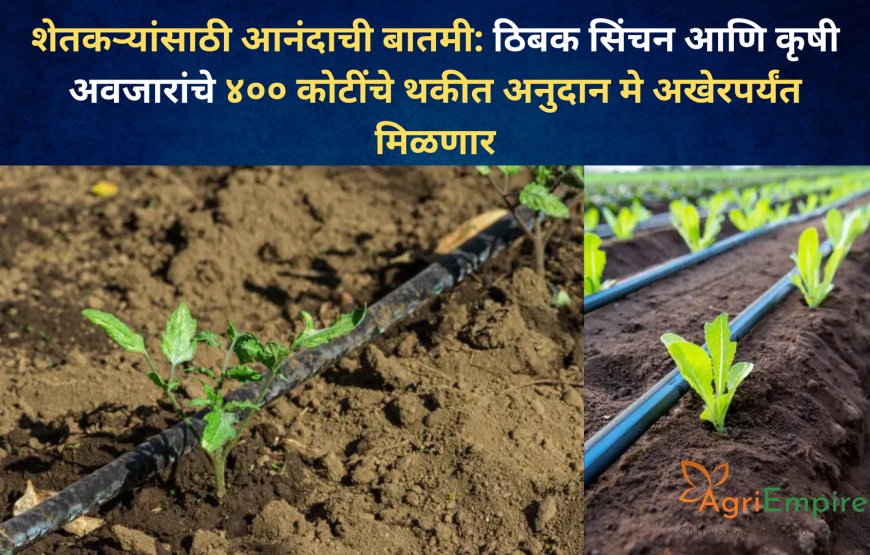 शेतकऱ्यांसाठी आनंदाची बातमी: ठिबक सिंचन आणि कृषी अवजारांचे ४०० कोटींचे थकीत अनुदान मे अखेरपर्यंत मिळणार