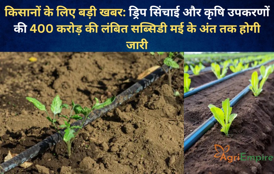 किसानों के लिए बड़ी खबर: ड्रिप सिंचाई और कृषि उपकरणों की 400 करोड़ की लंबित सब्सिडी मई के अंत तक होगी जारी