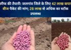 खरीफ की तैयारी: जलगांव जिले के लिए 42 लाख कपास बीज पैकेट की मांग; 28 लाख से अधिक का स्टॉक उपलब्ध