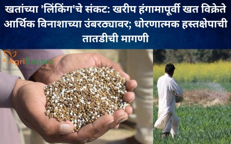 खतांच्या 'लिंकिंग'चे संकट: खरीप हंगामापूर्वी खत विक्रेते आर्थिक विनाशाच्या उंबरठ्यावर; धोरणात्मक हस्तक्षेपाची तातडीची मागणी