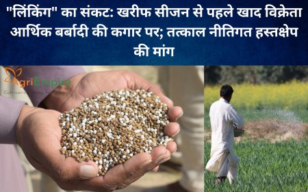 "लिंकिंग" का संकट: खरीफ सीजन से पहले खाद विक्रेता आर्थिक बर्बादी की कगार पर; तत्काल नीतिगत हस्तक्षेप की मांग