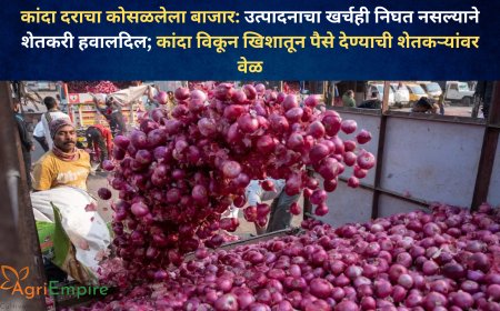 कांदा दराचा कोसळलेला बाजार: उत्पादनाचा खर्चही निघत नसल्याने शेतकरी हवालदिल; कांदा विकून खिशातून पैसे देण्याची शेतकऱ्यांवर वेळ