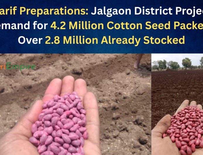 Kharif Preparations: Jalgaon District Projects Demand for 4.2 Million Cotton Seed Packets; Over 2.8 Million Already Stocked