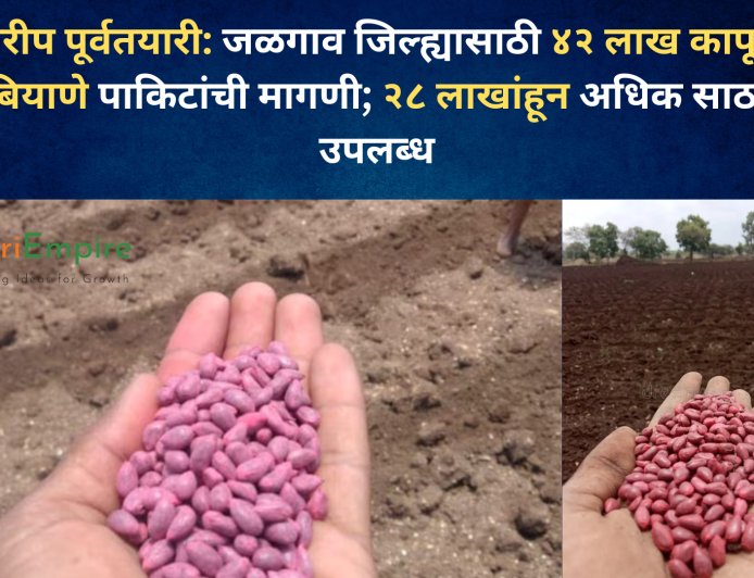 खरीप पूर्वतयारी: जळगाव जिल्ह्यासाठी ४२ लाख कापूस बियाणे पाकिटांची मागणी; २८ लाखांहून अधिक साठा उपलब्ध