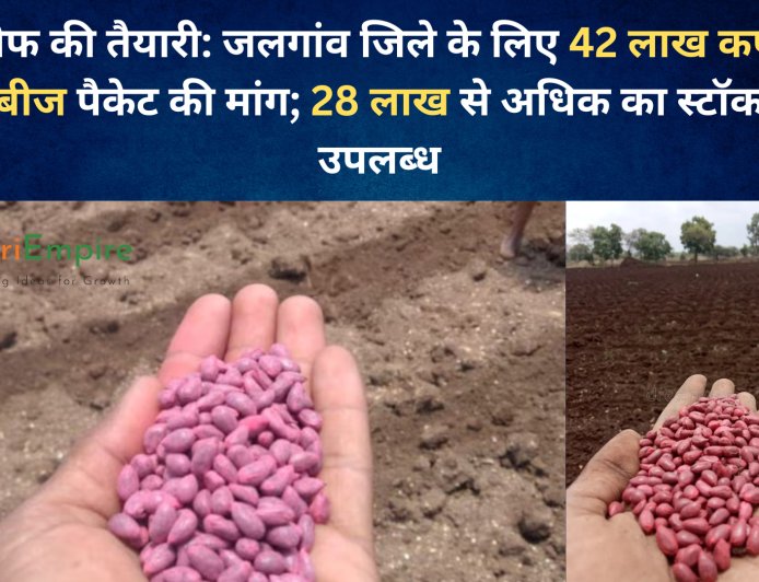 खरीफ की तैयारी: जलगांव जिले के लिए 42 लाख कपास बीज पैकेट की मांग; 28 लाख से अधिक का स्टॉक उपलब्ध