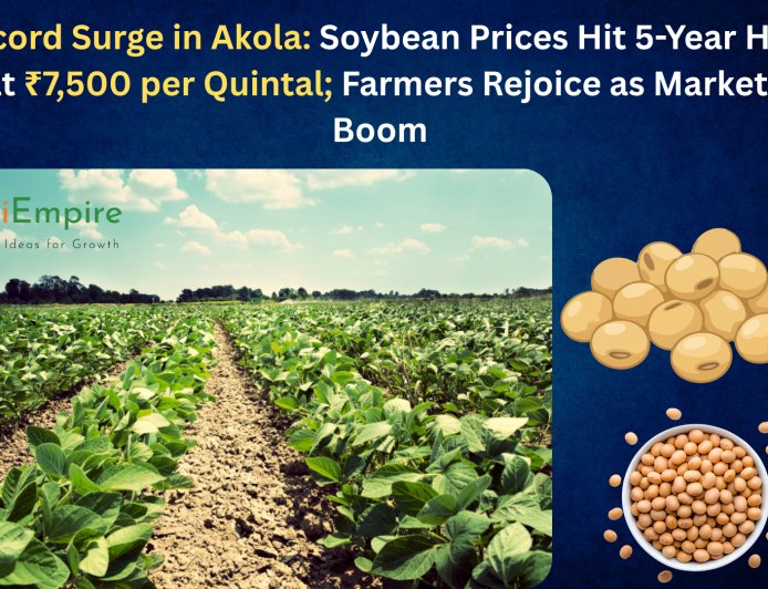 Record Surge in Akola: Soybean Prices Hit 5-Year High at ₹7,500 per Quintal; Farmers Rejoice as Markets Boom