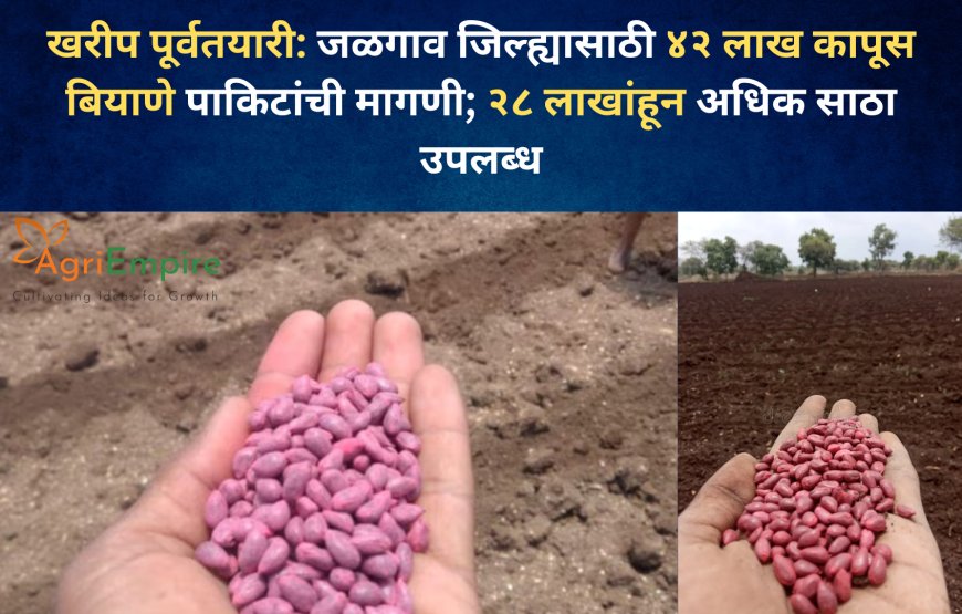 खरीप पूर्वतयारी: जळगाव जिल्ह्यासाठी ४२ लाख कापूस बियाणे पाकिटांची मागणी; २८ लाखांहून अधिक साठा उपलब्ध