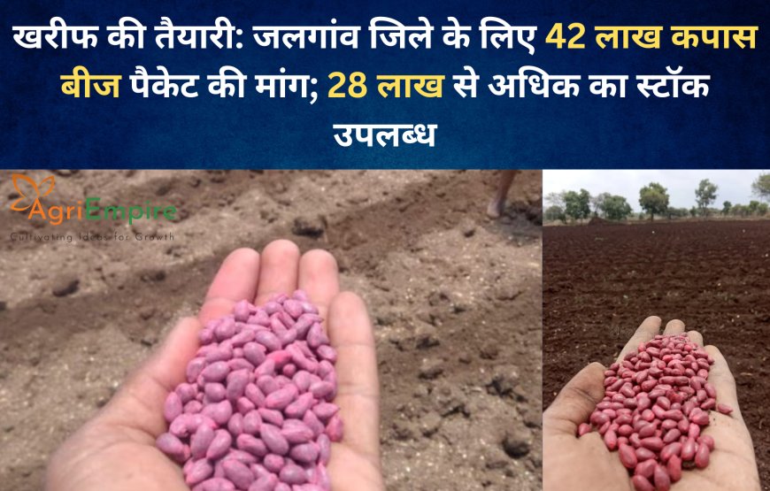 खरीफ की तैयारी: जलगांव जिले के लिए 42 लाख कपास बीज पैकेट की मांग; 28 लाख से अधिक का स्टॉक उपलब्ध