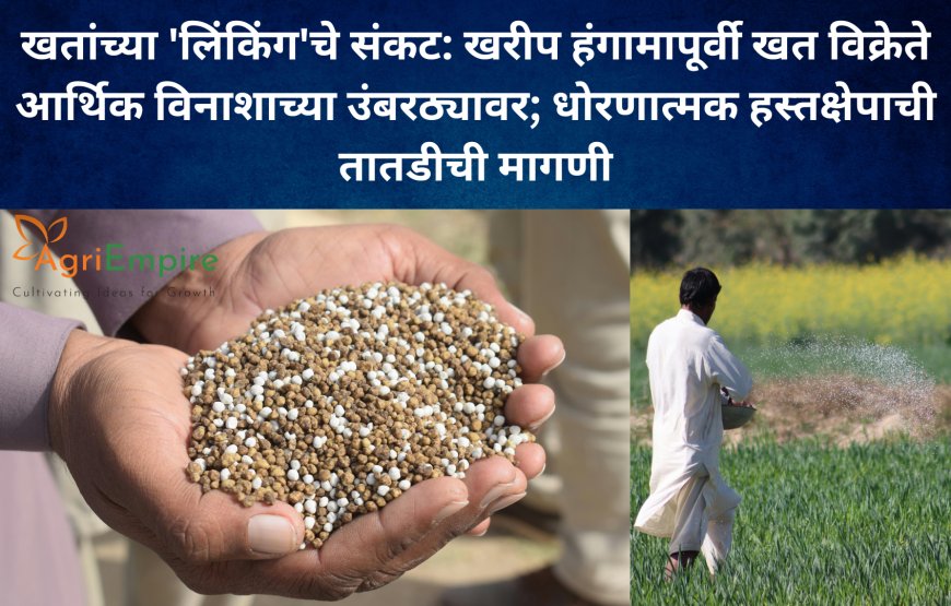 खतांच्या 'लिंकिंग'चे संकट: खरीप हंगामापूर्वी खत विक्रेते आर्थिक विनाशाच्या उंबरठ्यावर; धोरणात्मक हस्तक्षेपाची तातडीची मागणी