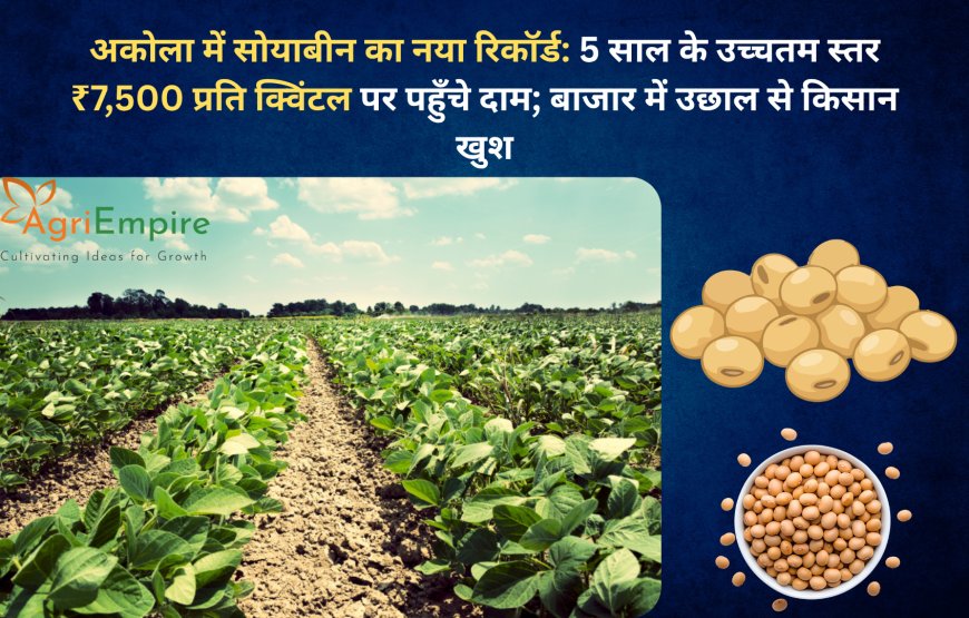 अकोला में सोयाबीन का नया रिकॉर्ड: 5 साल के उच्चतम स्तर ₹7,500 प्रति क्विंटल पर पहुँचे दाम; बाजार में उछाल से किसान खुश